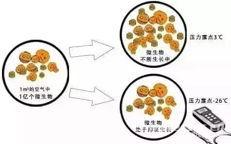 食品行業(yè)壓縮空氣品質令人擔憂，正是后處理和無油機的機會所在！